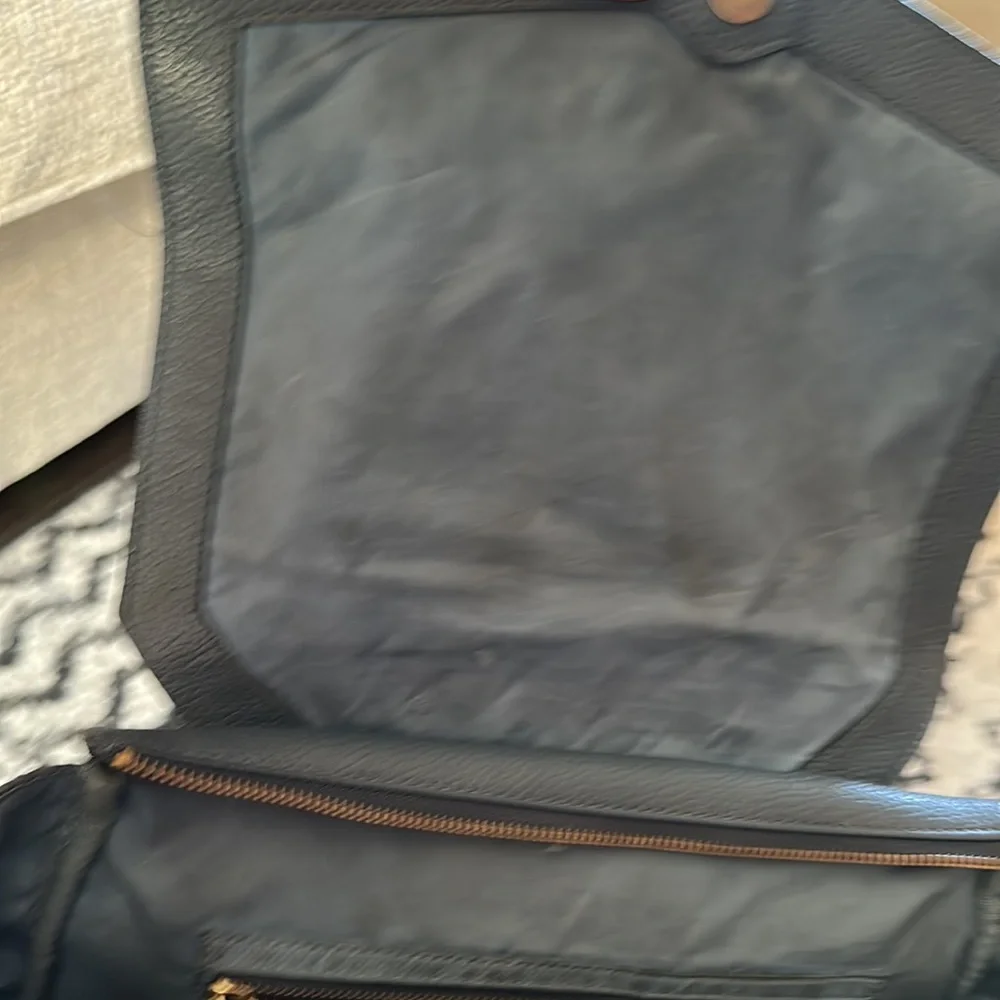 Freshly picked diaper bag/backpack FP